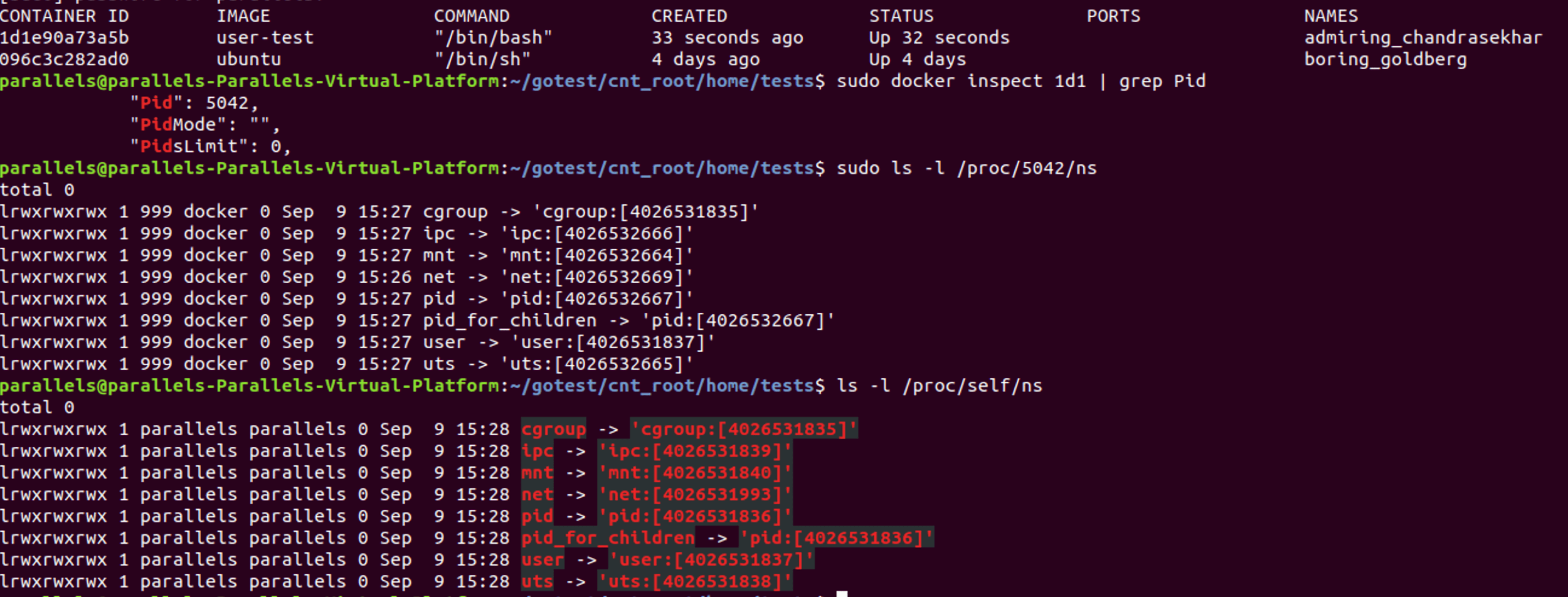 Docker exec user. Root пользователь. Docker inspect. Docker Run Command example. Kit docker.