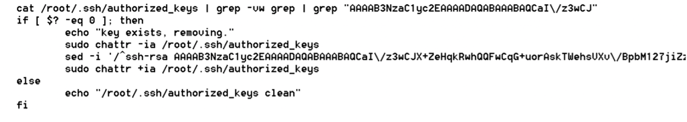 Code showing SSH keys sanitization 