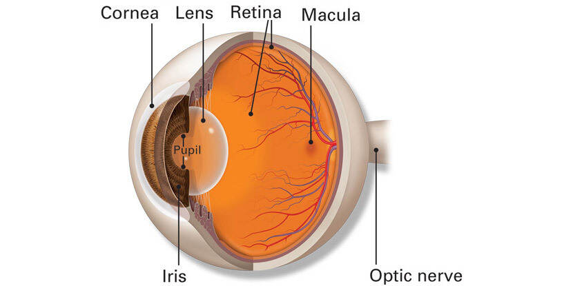 izozona în oftalmologie viziune gopher