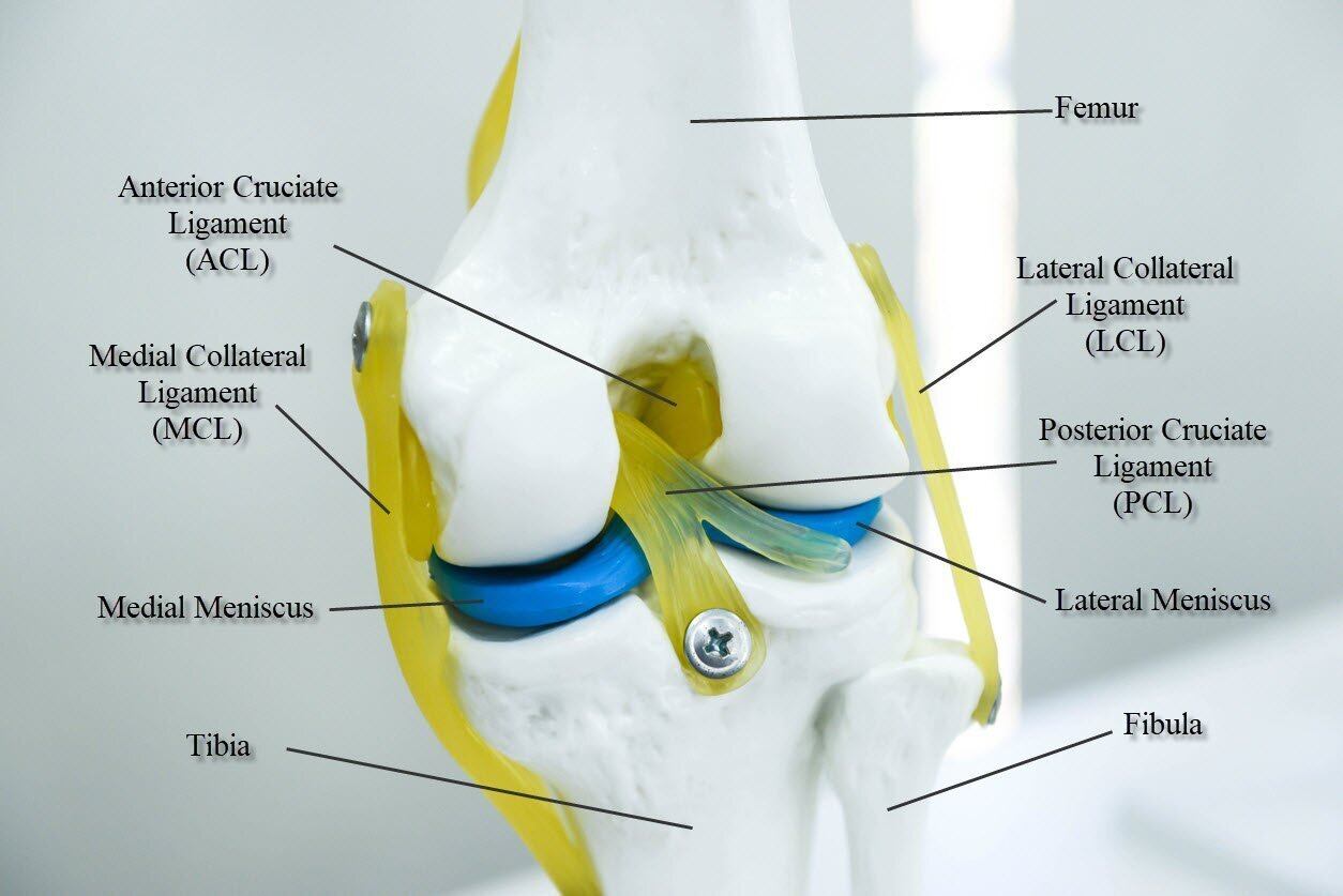 What is the Difference Between the Symptoms of ACL and MCL Tears?