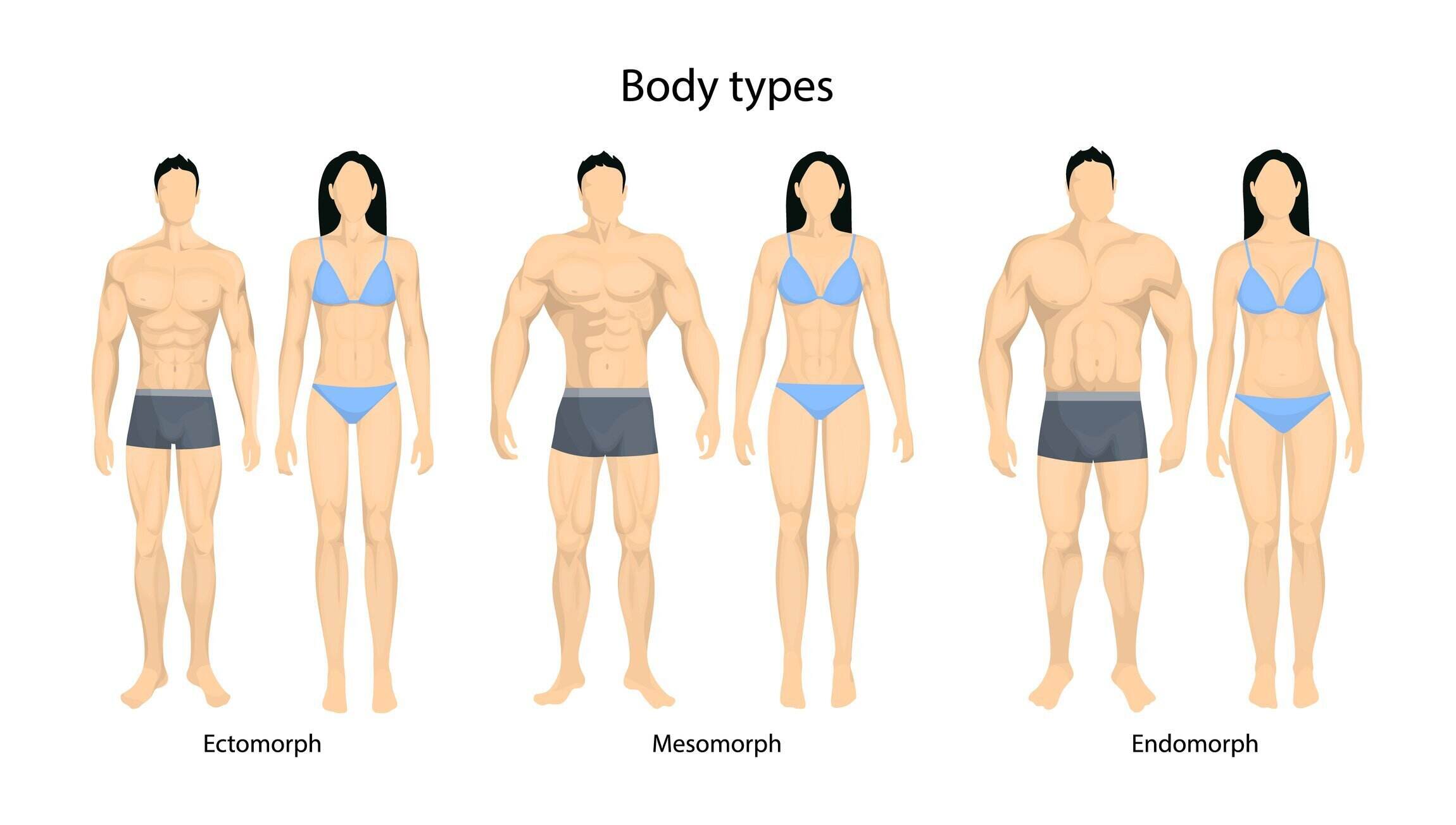 Monica onvergeeflijk spellen What Body Type Am I?