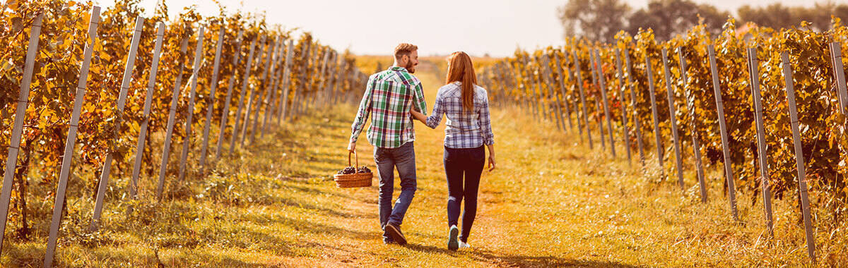 Couple on an affordable honeymoon in Sonoma, California