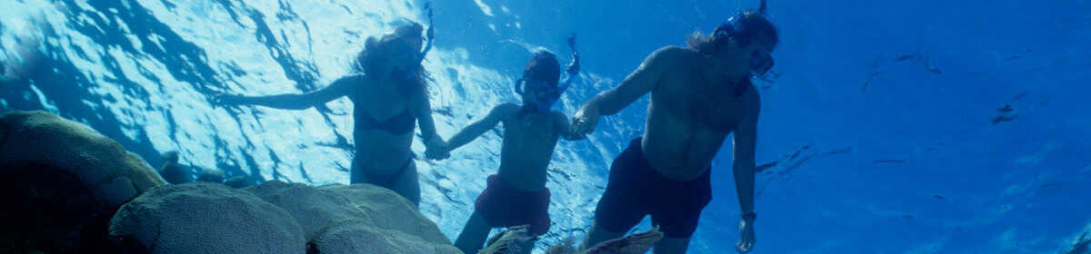 Snorkelers covered by Generali travel insurance