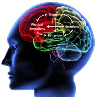 A colorful brain image pointing out the different parts that sense emotions, physical sensations, thoughts, and behaviors.