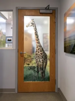 Image of giraffe on door