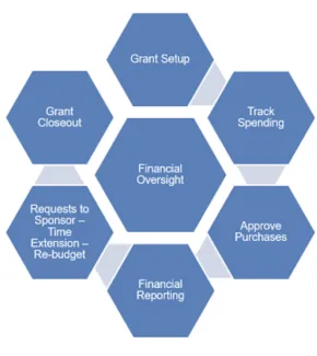 Grant infographic that has seven hexagons, labeled in the order needed to apply for a grant: grant setup, track spending, approve purchases, financial reporting, requests to sponsor - time extension - re-budget, grant closeout; the middle hexagon is financial oversight.