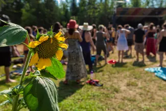 A sunflower in focus with a group of people behind it. 