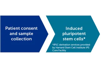 dark blue arrow box graphic with text "patient consent and sample collection" point right into a teal arrow box graphic pointing right with text in white letters "induced pluripotent stem cells*". small text below "*iPSC derivation services provided by Harvard Stem Cell Institute iPS Core Facility"