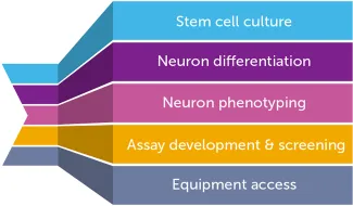 five ribbon rows stacked. first ribbon is light blue with text "stem cell culture", second ribbon is purple with text "neuron differentiation", third ribbon is pink with text "neuron phenotyping", fourth ribbon is yellow with text "assay development & screening", and fifth ribbon is grey with text "equipment access"