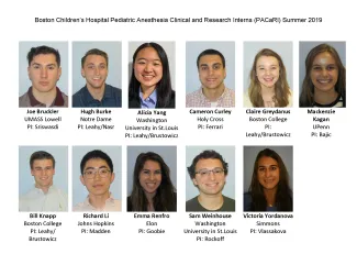 Headshots of 2019 PaCARI summer interns