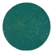 Raimondi Green Scrub Disc