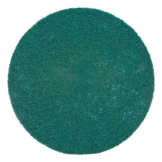 Raimondi Green Scrub Disc