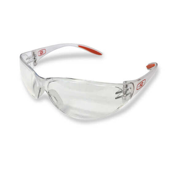 0140-70001-01 IQ Safety Glasses
