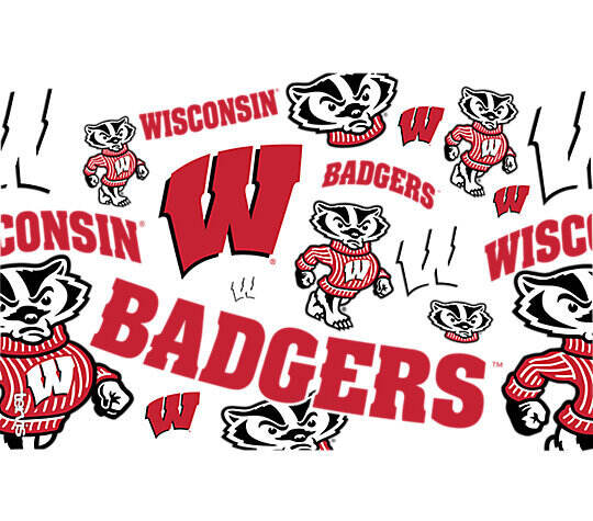 Wisconsin Badgers All Over
