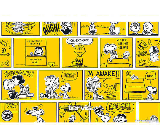 Peanuts™ - 70th Comic Strip