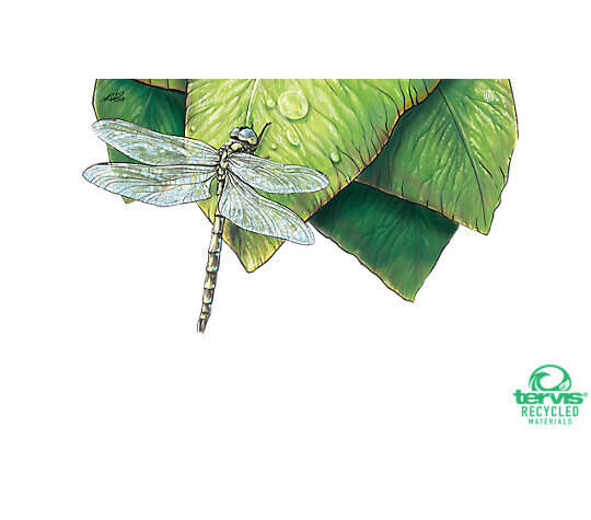 Recycled Dragonfly & Leaf