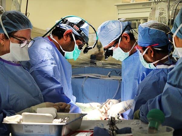 Healthgrades Americas 50 Best Hospitals for Cardiac Surgery™ for ...