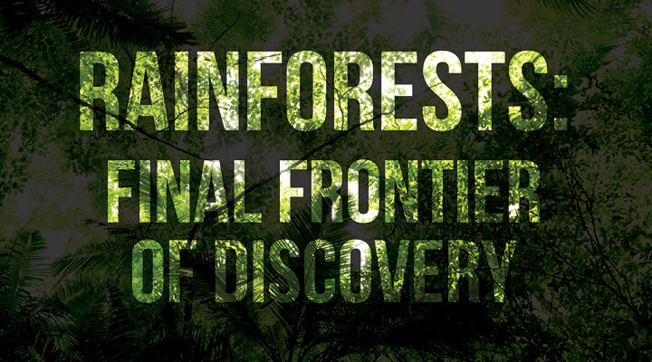Rainforests: Final Frontier of Discovery 