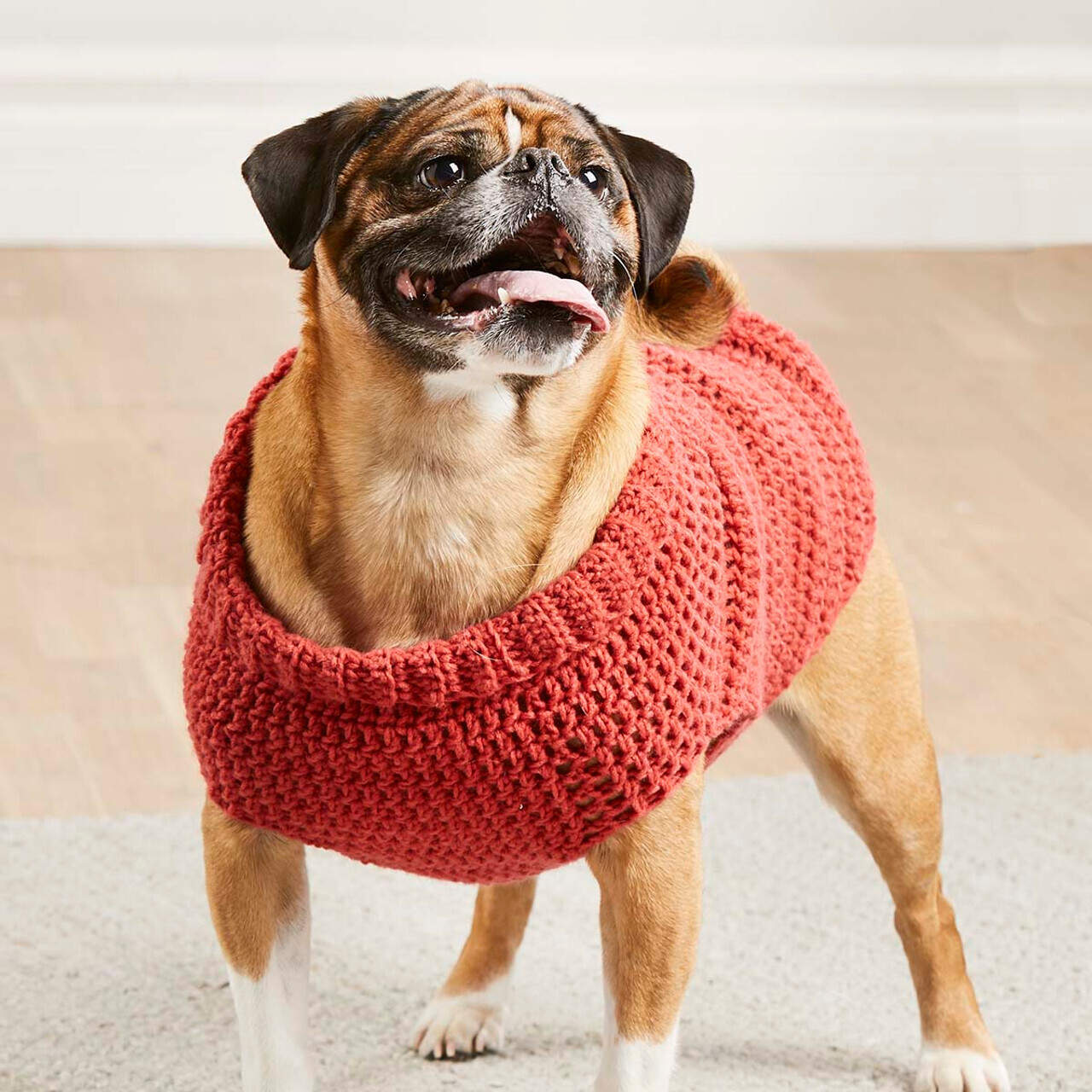 Crochet medium sales dog sweater