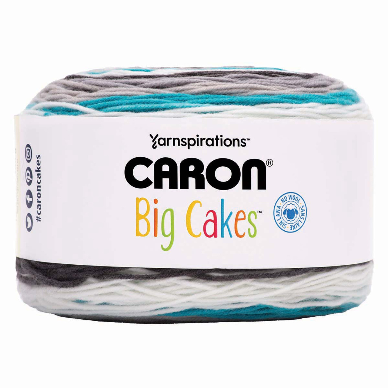 Caron Big Cakes-Bag of 2 Yarn
