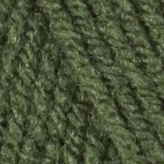 Red Heart Super Saver Yarn - Variant Image Medium Thyme
