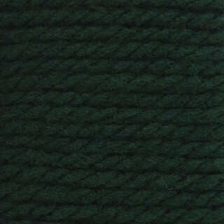 Bernat Softee Chunky Yarn – 100g – Dark Green – Yarns by Macpherson