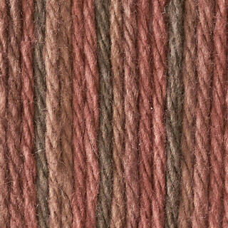 Lily Sugar 'n Cream Bundles - Variant Image Terra Firma