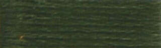 DMC 6-Strand Embroidery Floss - Variant Image Black Avocado Green