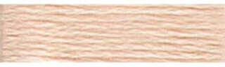DMC 6-Strand Embroidery Floss - Variant Image Very Lt. Peach