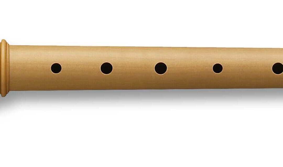 4 Steps To Master The Recorder Notes West Music
