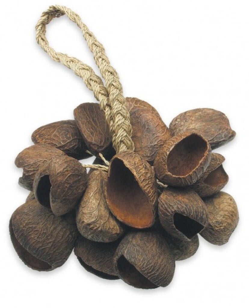 Toca T-SS Seed Shell Shaker - Unique Percussion Instrument for All