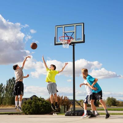 Lifetime Products Basketball Accessories 5818 Classic Mount Basketball Rim Goal 