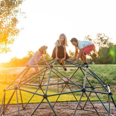 Lifetime Geometric 60" Climbing Dome for sale online 90136