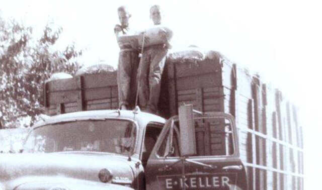 Tom Keller at age 16 standing on top of a truck in front of the trailer holding a Mellon before taking it to market 