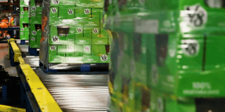 Beverage product wrapped on a pallet moving down a conveyor