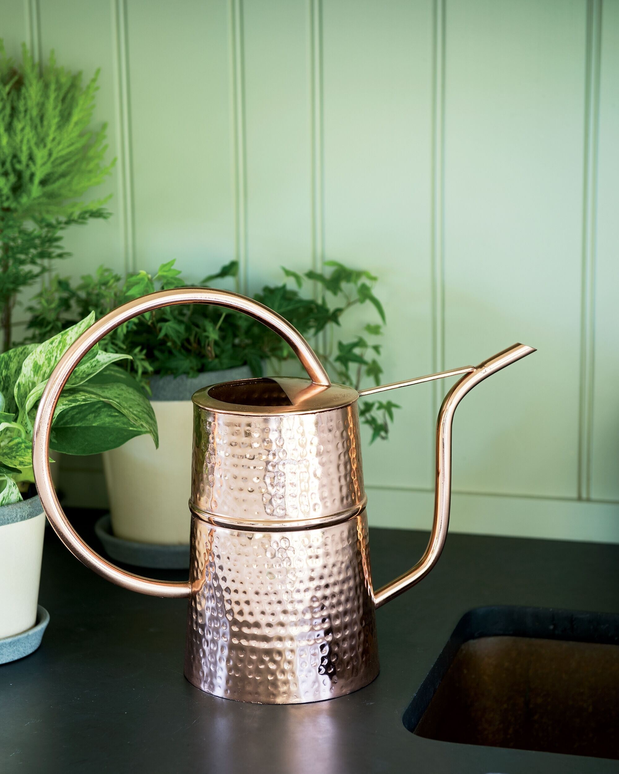 E.Palace Copper Colored Watering Can for Outdoor and Indoor House Plants 30 OZ 