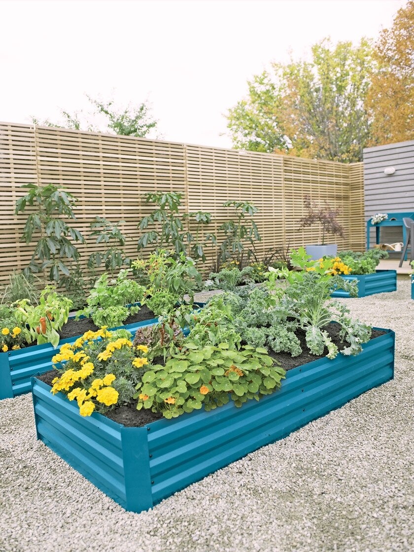 Metal Raised Garden Bed 34 X 68, Is Corrugated Metal Safe For Raised Garden Beds