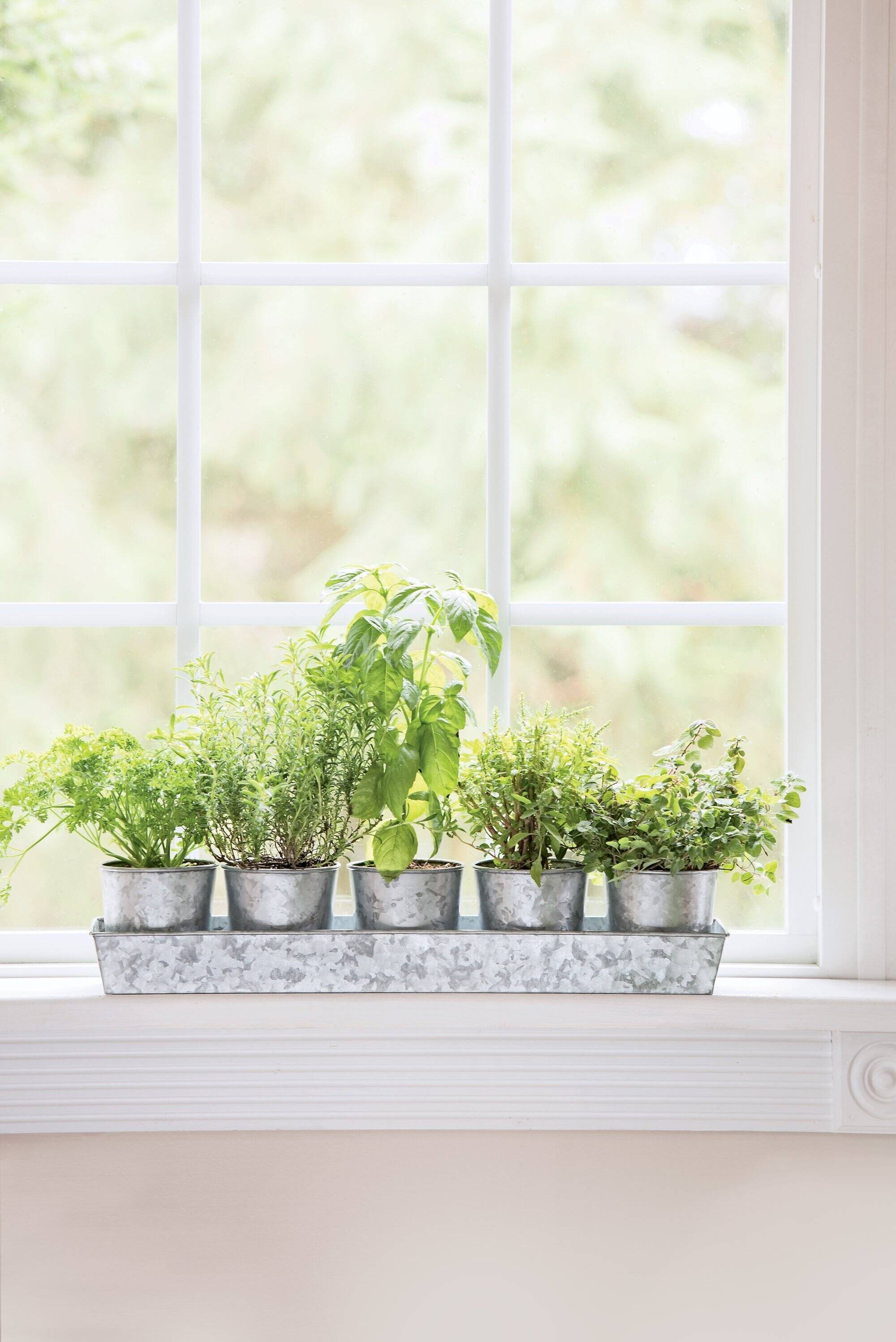 Galvanized Windowsill Herb Planters, Herb Garden Planter Set