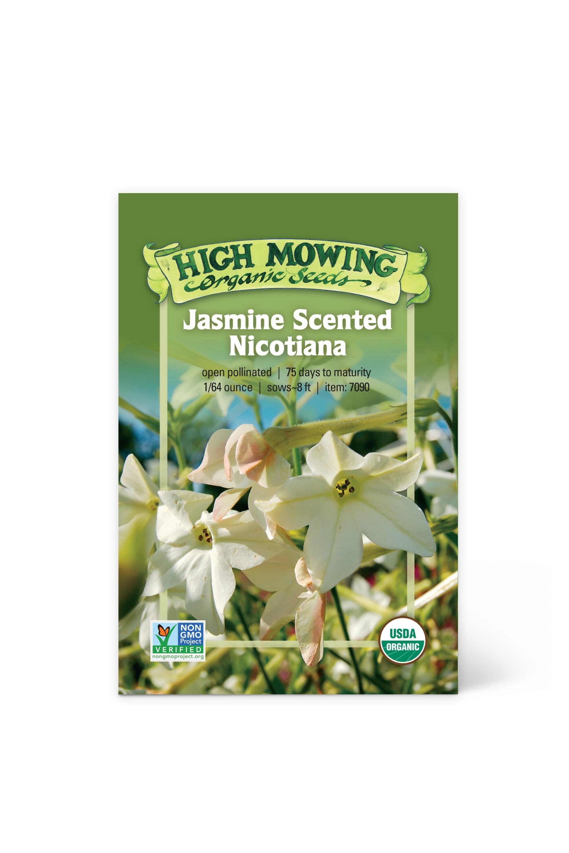 New 100seeds Jasmine Flower Seed Fragrant Garden Plant Seed Wedding Party 