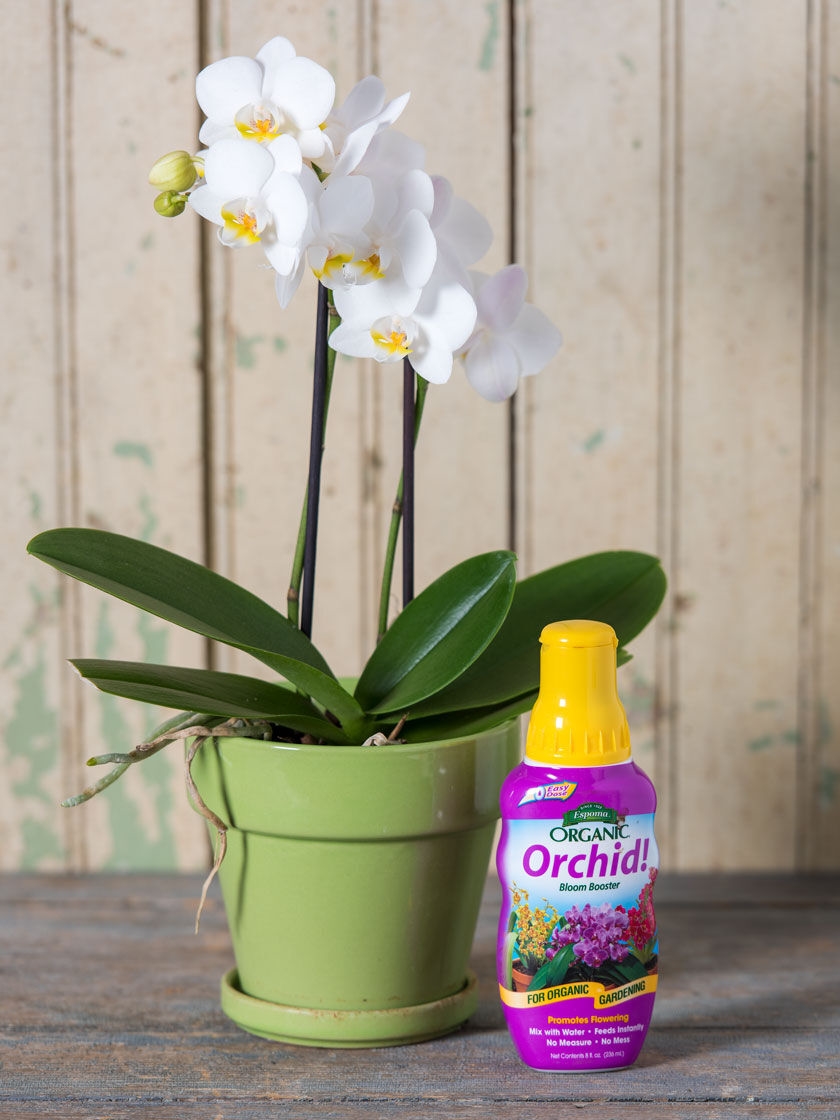 espoma organic orchid plant food  gardener's supply