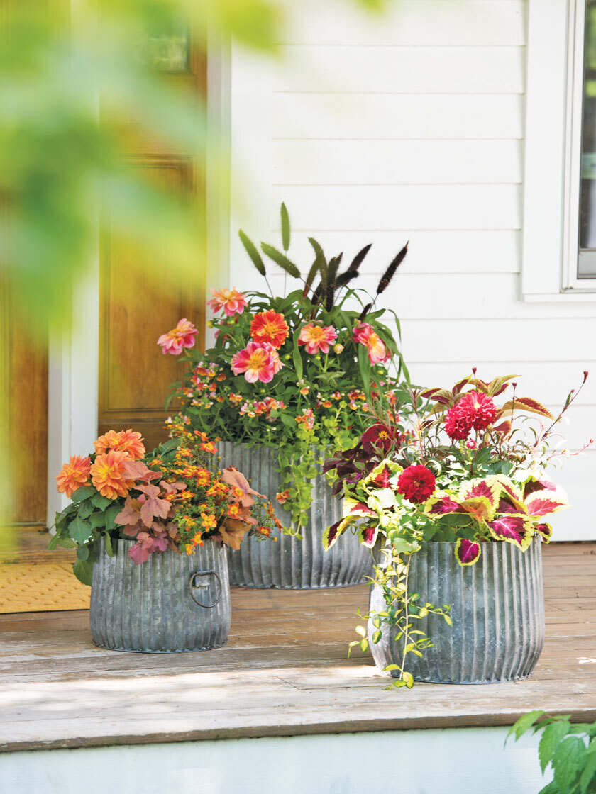 Vintage Style Iron Galvanised Metal Garden Planter Flowers Tub Pots Buckets Vase 