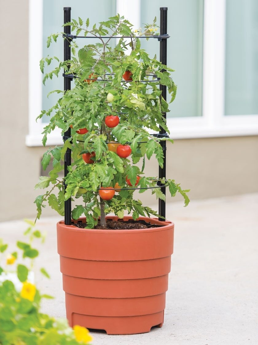 5 x garden tomato grow pots self watering vegetable fruit easyfill pot grow bag 