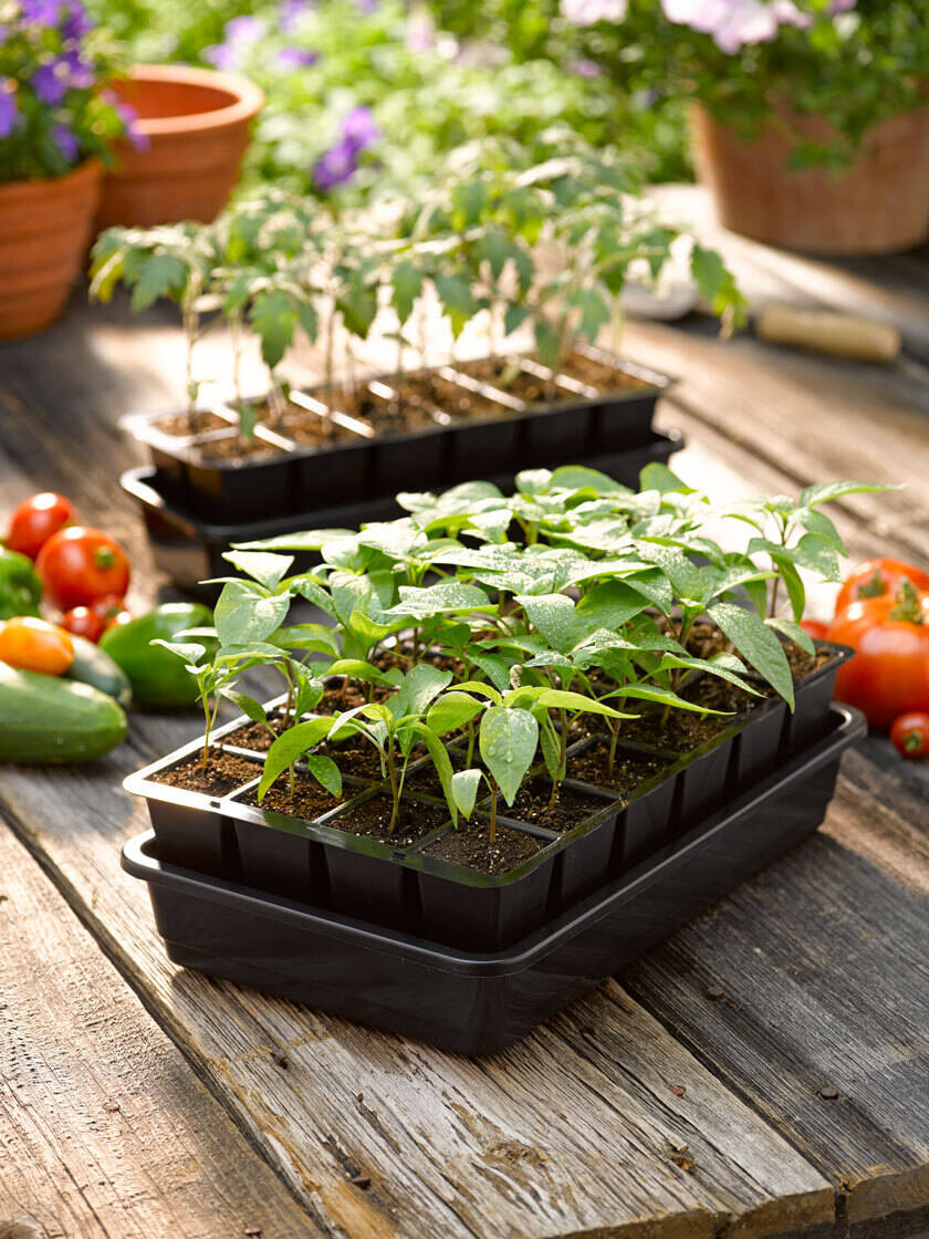 GrowEase Seed Starter Kit - Free Shipping | Gardener's Supply