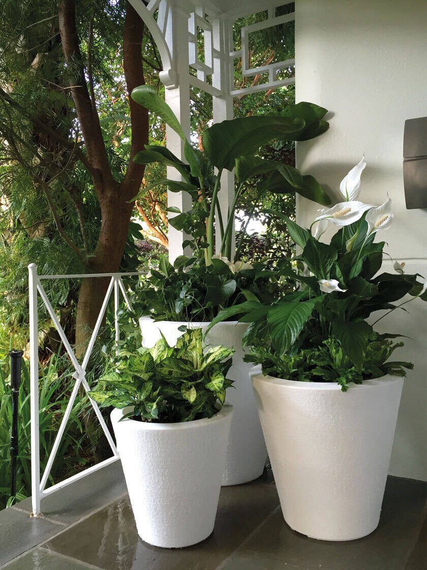 Modern Plant-Pots Self-watering Flowerpot Garden Flower Planters Indoor Stand 