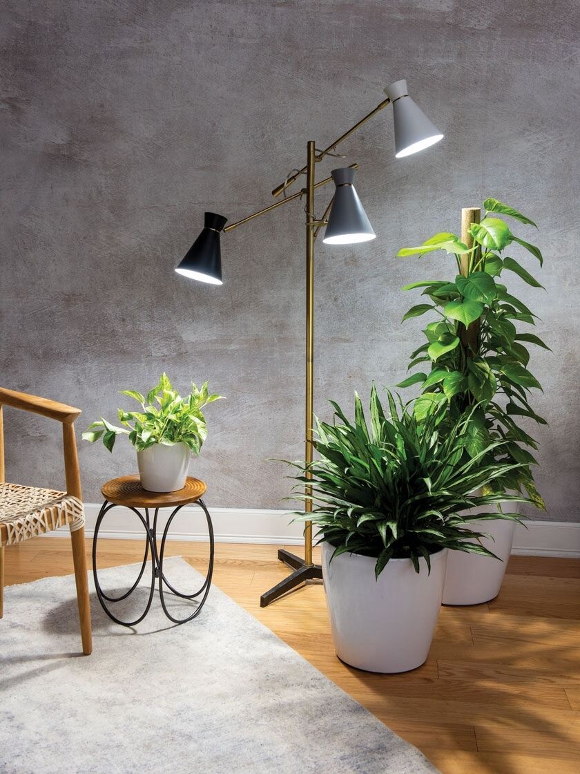 Grow Light Plant Lights For Indoor Plants 3 Head Adjustable Greenhouse Led Lamp 