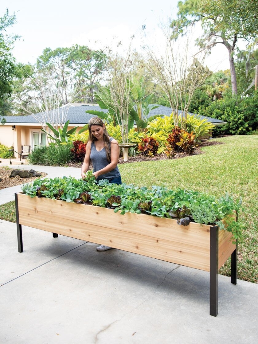 Details about   Raised Garden Elevated Wood Planter Box Stand 