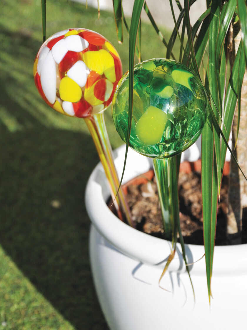 6 Plant Watering Bulbs-Provides 2 Week Supply For Both Indoor & Outdoor Plants Aqua Globes