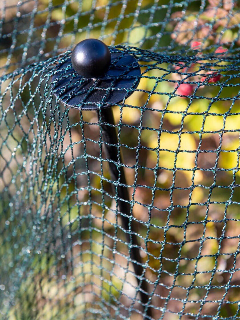 Bird-Safe Woven Bird Netting | Gardener's Supply