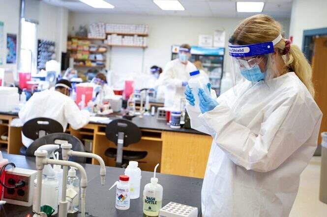Undergraduate Programs | Medical & Molecular Sciences | University of  Delaware