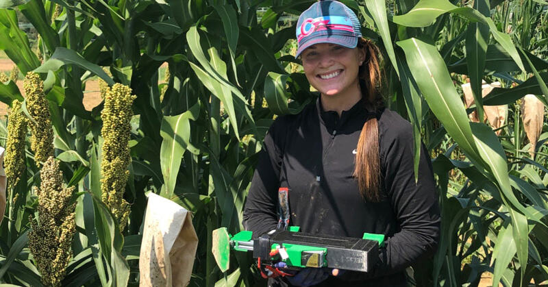 Ashley Hostetler holds a new device developed in the UD Sparks Lab called SMURF — Sorghum and Maize Under Rotational Force, which non-destructively measures the torsional stiffness of corn and sorghum plants.  